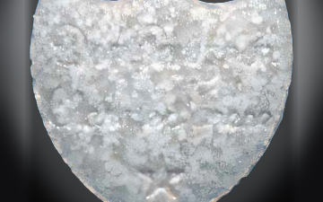 Comprimés Botella De Champagne (Ecstasy / MDMA)