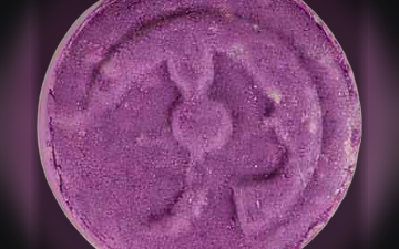 Comprimés Piaggio (Ecstasy / MDMA)