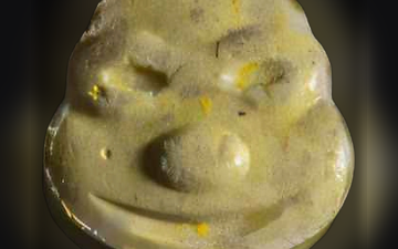 Comprimés Ninja Turtle (Ecstasy / MDMA)