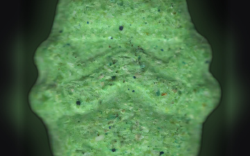 Comprimés Stormtrooper (Ecstasy / MDMA)