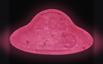 Comprimés UFO (2C-B)