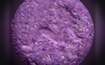Comprimés Playboy (Ecstasy / MDMA)