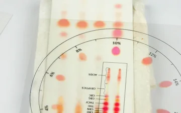 Cannabis Mit Delta 8 THC (Delta (résultats d’analyses de différents échantillons)